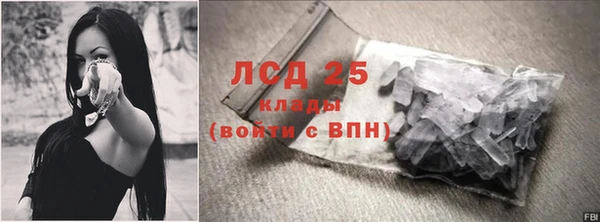гидра Наволоки